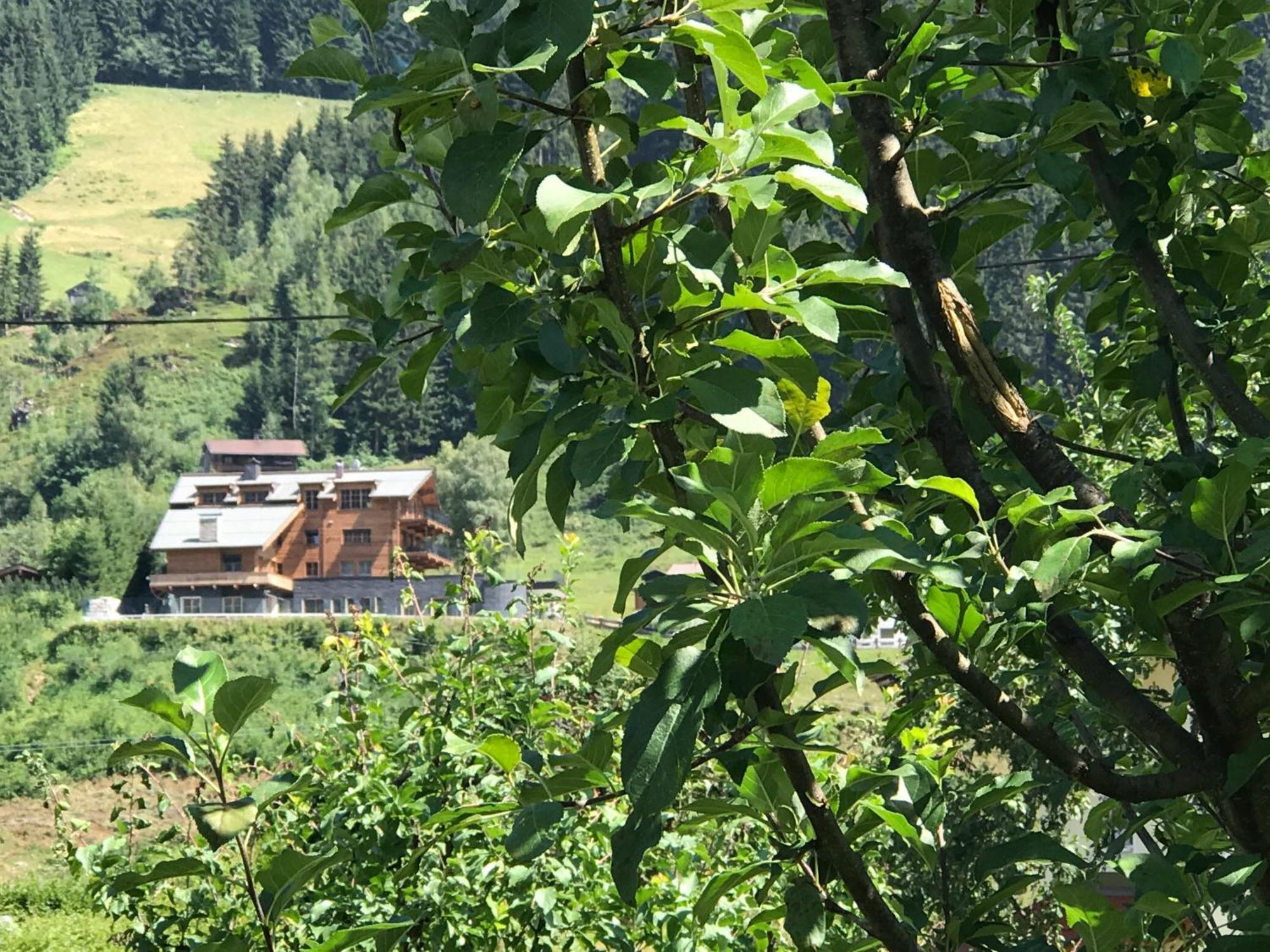 Das Kitz Jochberg Dış mekan fotoğraf