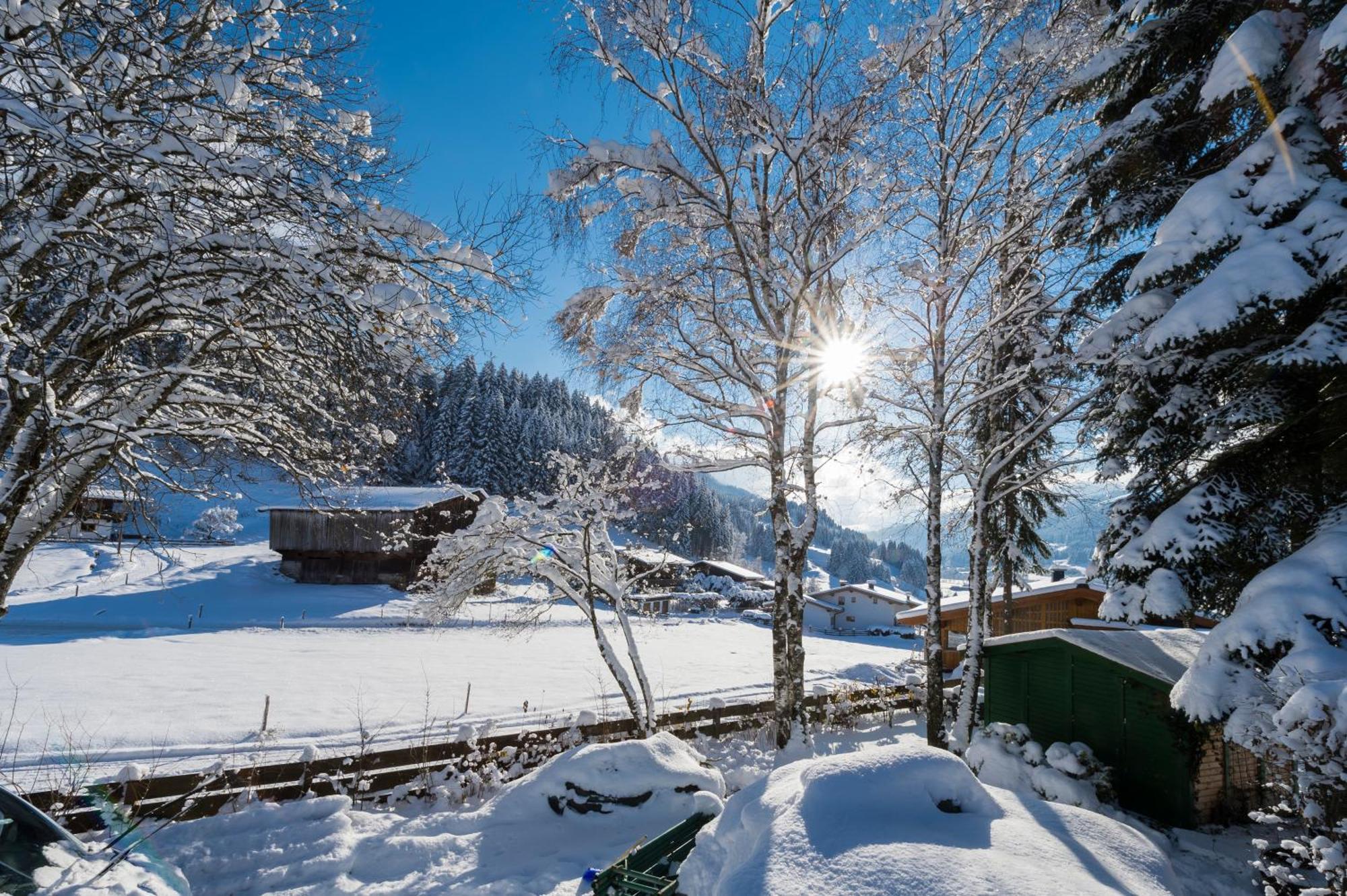 Das Kitz Jochberg Oda fotoğraf